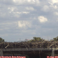 12_40-mast.jpg