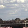 12_45-mast.jpg