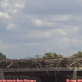 12_55-mast.jpg