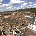 12_55-nest.jpg