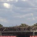 13_00-mast.jpg