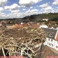 13_00-nest.jpg