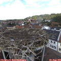 13_05-nest.jpg