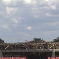 13_10-mast.jpg