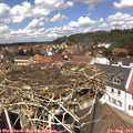 13_10-nest.jpg