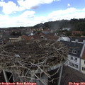 13_15-nest.jpg