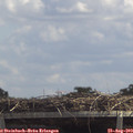 13_20-mast.jpg