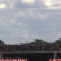 13_25-mast.jpg
