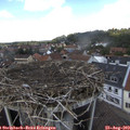 13_25-nest.jpg
