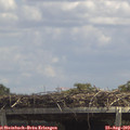 13_30-mast.jpg