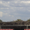 13_35-mast.jpg