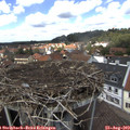 13_35-nest.jpg