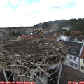 13_40-nest.jpg