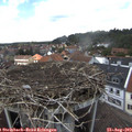 13_45-nest.jpg