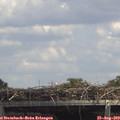 14_00-mast.jpg