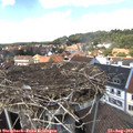 14_00-nest.jpg