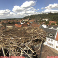 14_05-nest.jpg