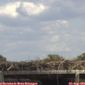 14_10-mast.jpg