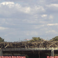 14_15-mast.jpg