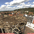 14_15-nest.jpg