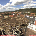 14_20-nest.jpg