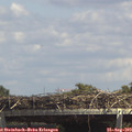 14_25-mast.jpg