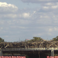 14_30-mast.jpg