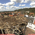 14_30-nest.jpg