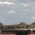14_35-mast.jpg