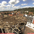 14_35-nest.jpg
