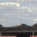 14_40-mast.jpg