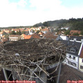 14_40-nest.jpg