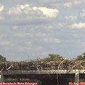 14_45-mast.jpg