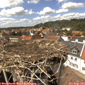 14_45-nest.jpg