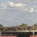 14_50-mast.jpg