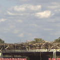 14_55-mast.jpg