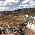 14_55-nest.jpg