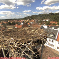 15_00-nest.jpg