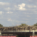15_05-mast.jpg