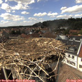 15_05-nest.jpg