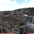 15_10-nest.jpg