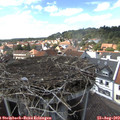 15_15-nest.jpg
