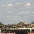 15_20-mast.jpg
