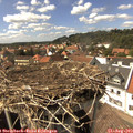 15_20-nest.jpg