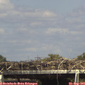 15_25-mast.jpg