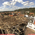 15_25-nest.jpg