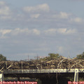 15_30-mast.jpg