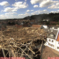 15_30-nest.jpg