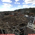 15_35-nest.jpg