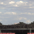 15_40-mast.jpg